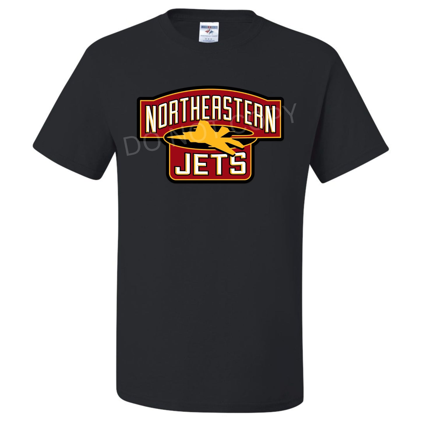 Northeastern Jets