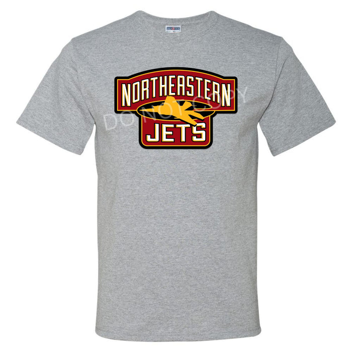 Northeastern Jets