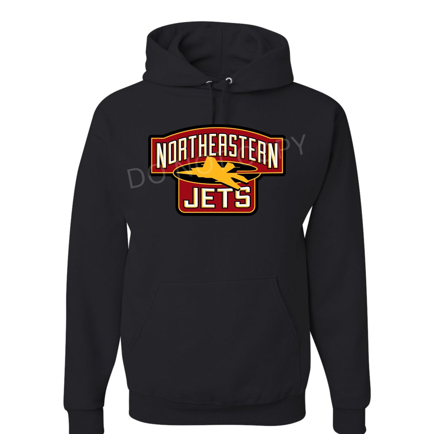 Northeastern Jets
