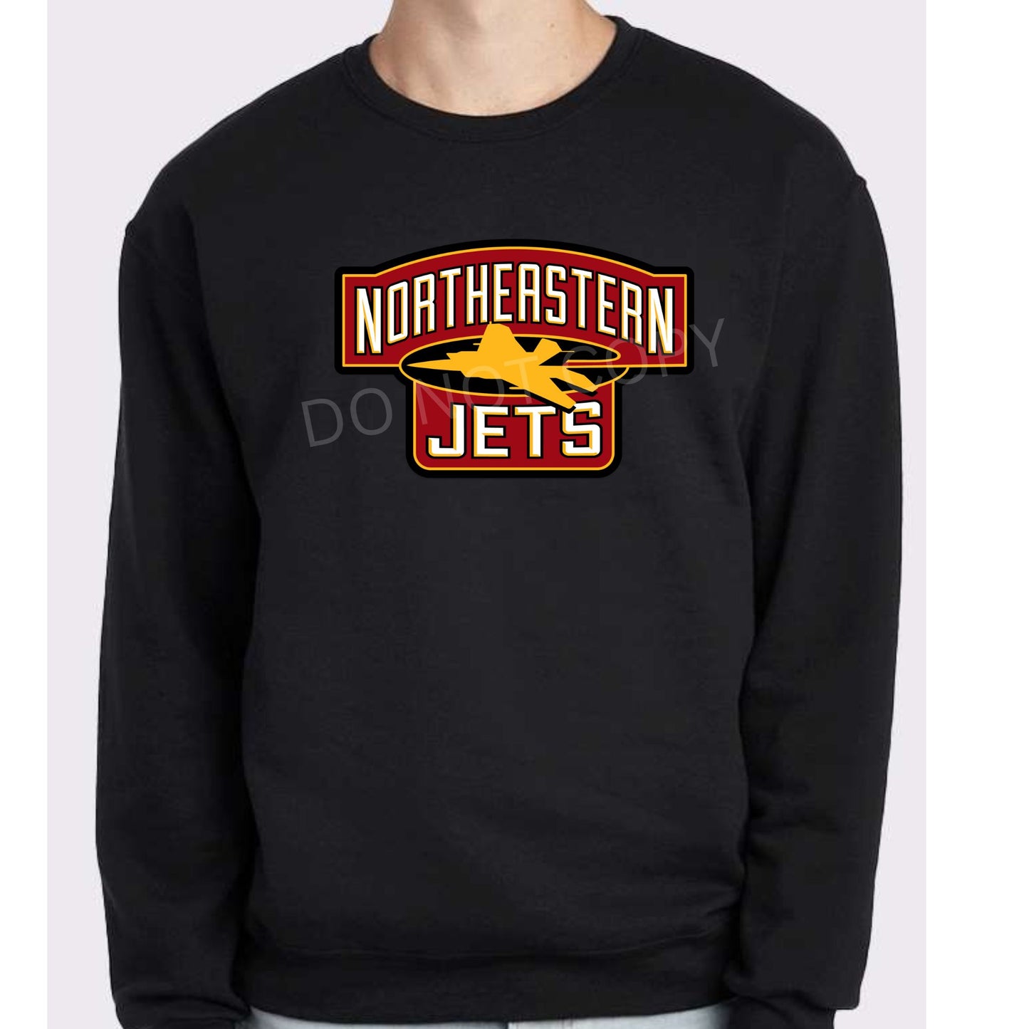 Northeastern Jets