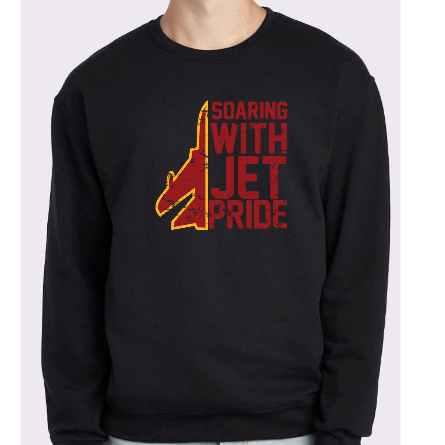 Soaring Jet Pride