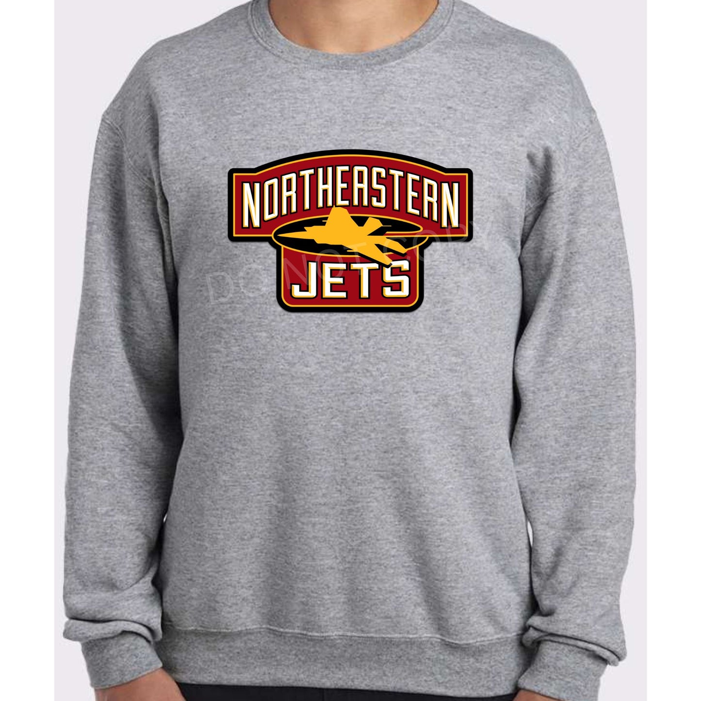 Northeastern Jets