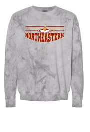 Color Blast Northeastern Jet